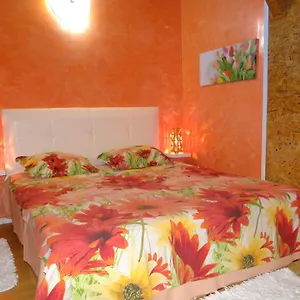 Orange Flower Sofya